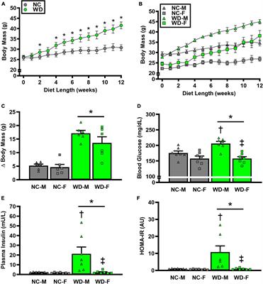 Western diet augments metabolic and arterial dysfunction in a sex-specific manner in outbred, genetically diverse mice